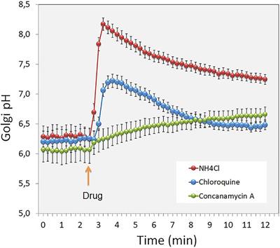 Golgi pH, Ion and Redox Homeostasis: How Much Do They Really Matter?